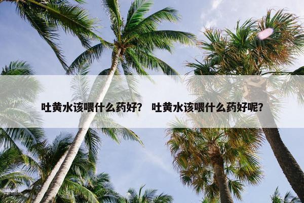 吐黄水该喂什么药好？ 吐黄水该喂什么药好呢？