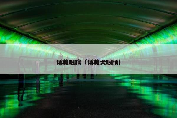 博美眼瞎（博美犬眼睛）