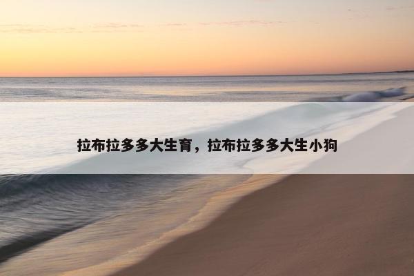 拉布拉多多大生育，拉布拉多多大生小狗