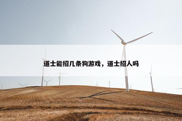 道士能招几条狗游戏，道士招人吗