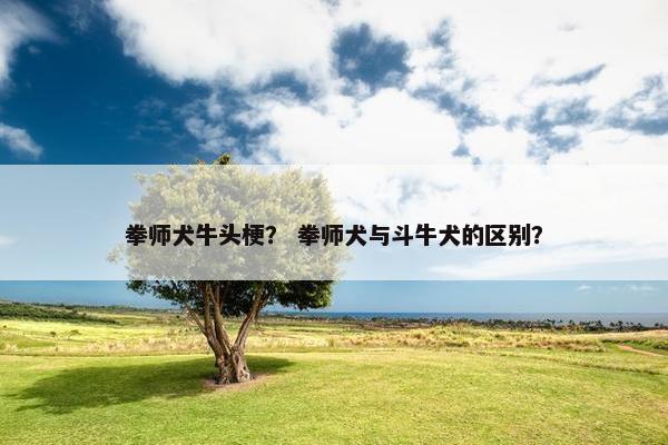 拳师犬牛头梗？ 拳师犬与斗牛犬的区别？