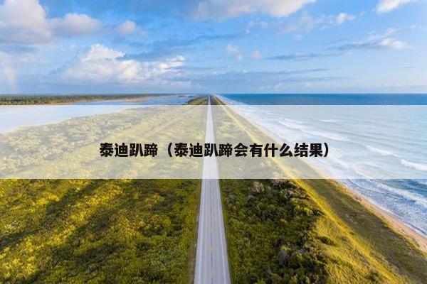 泰迪趴蹄（泰迪趴蹄会有什么结果）