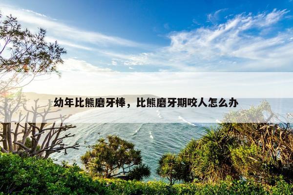 幼年比熊磨牙棒，比熊磨牙期咬人怎么办