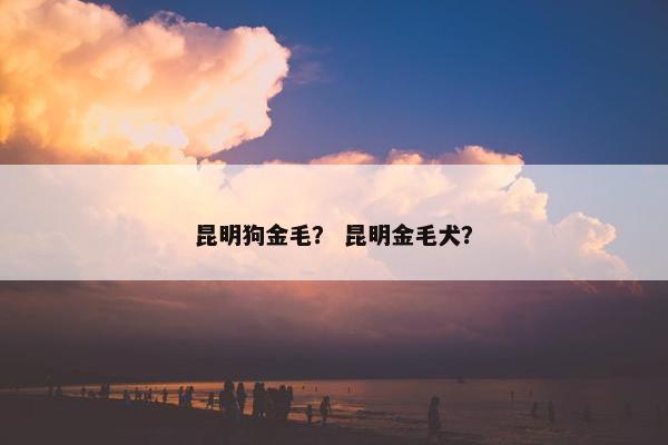 昆明狗金毛？ 昆明金毛犬？