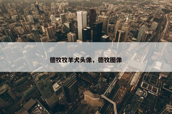 德牧牧羊犬头像，德牧图像