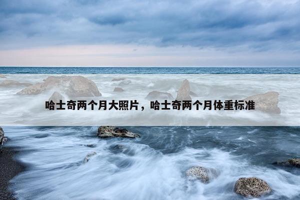 哈士奇两个月大照片，哈士奇两个月体重标准