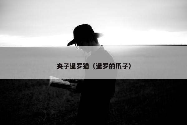 夹子暹罗猫（暹罗的爪子）