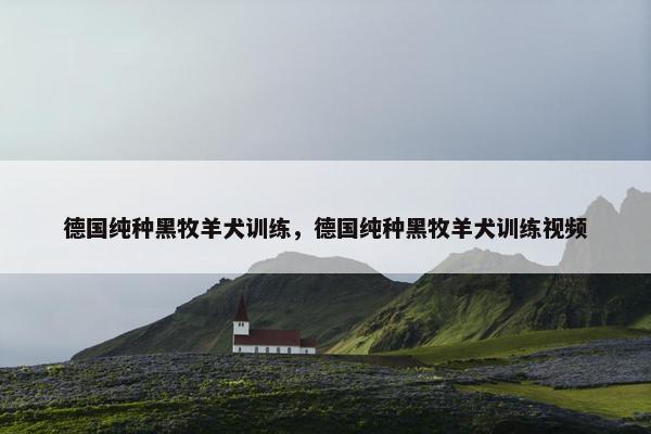 德国纯种黑牧羊犬训练，德国纯种黑牧羊犬训练视频