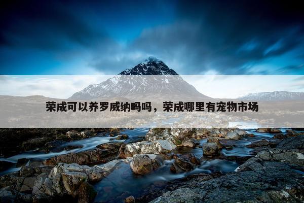荣成可以养罗威纳吗吗，荣成哪里有宠物市场