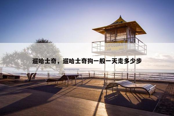 遛哈士奇，遛哈士奇狗一般一天走多少步