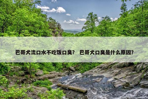 巴哥犬流口水不吃饭口臭？ 巴哥犬口臭是什么原因？
