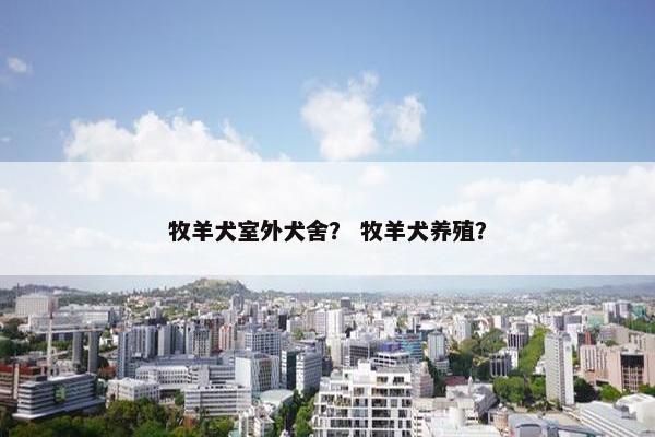牧羊犬室外犬舍？ 牧羊犬养殖？