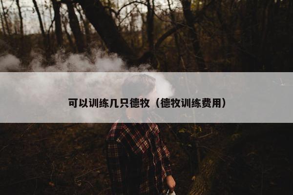 可以训练几只德牧（德牧训练费用）