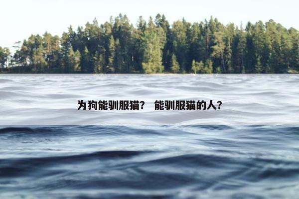 为狗能驯服猫？ 能驯服猫的人？