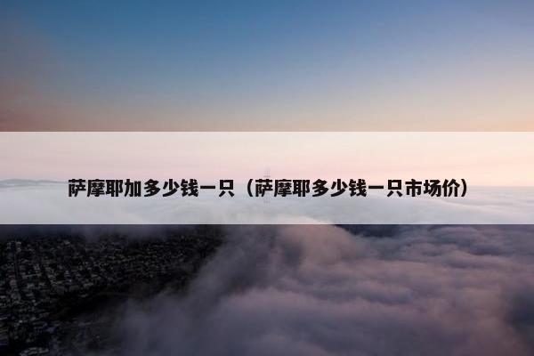 萨摩耶加多少钱一只（萨摩耶多少钱一只市场价）
