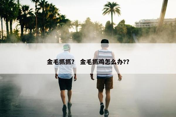 金毛抓抓？ 金毛抓鸡怎么办?？