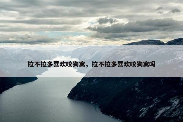 拉不拉多喜欢咬狗窝，拉不拉多喜欢咬狗窝吗