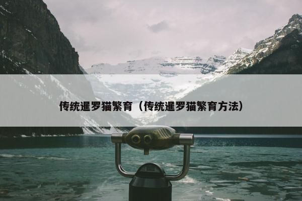 传统暹罗猫繁育（传统暹罗猫繁育方法）