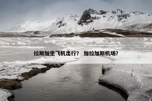 拉斯加坐飞机出行？ 加拉加斯机场？