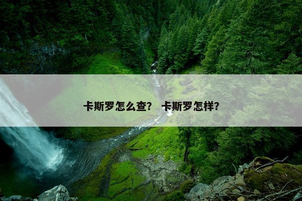 卡斯罗怎么查？ 卡斯罗怎样？