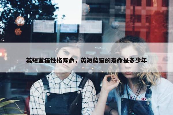 英短蓝猫性格寿命，英短蓝猫的寿命是多少年