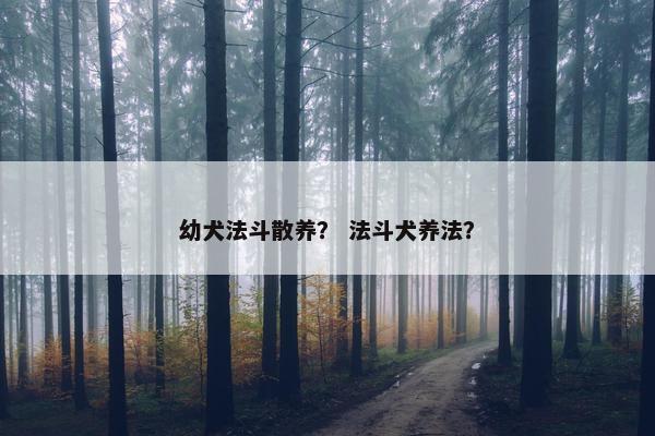幼犬法斗散养？ 法斗犬养法？