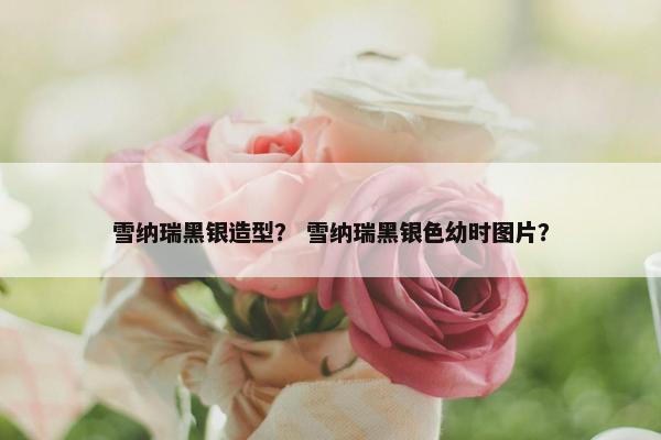 雪纳瑞黑银造型？ 雪纳瑞黑银色幼时图片？