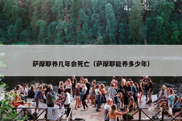 萨摩耶养几年会死亡（萨摩耶能养多少年）
