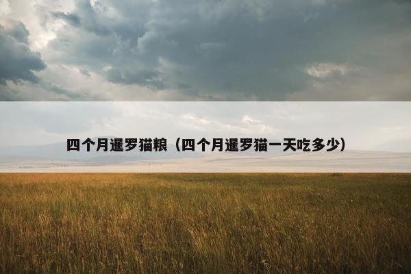 四个月暹罗猫粮（四个月暹罗猫一天吃多少）