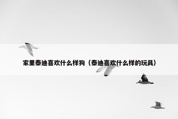 家里泰迪喜欢什么样狗（泰迪喜欢什么样的玩具）