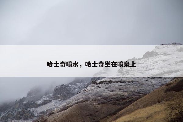 哈士奇喷水，哈士奇坐在喷泉上