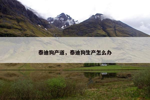 泰迪狗产道，泰迪狗生产怎么办