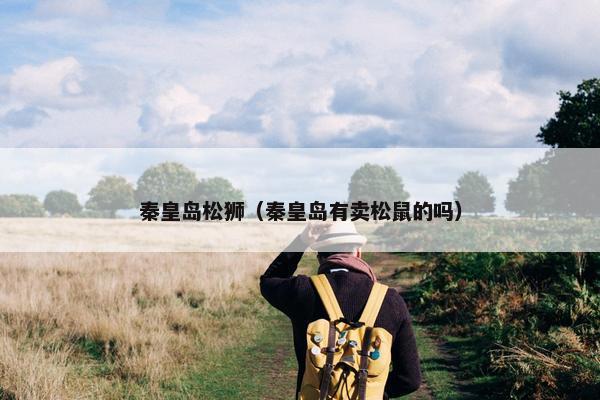 秦皇岛松狮（秦皇岛有卖松鼠的吗）