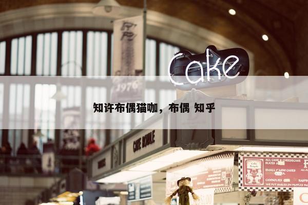 知许布偶猫咖，布偶 知乎