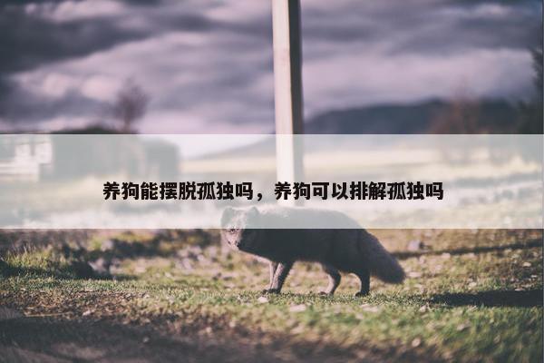 养狗能摆脱孤独吗，养狗可以排解孤独吗