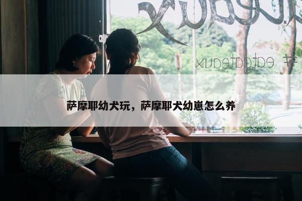 萨摩耶幼犬玩，萨摩耶犬幼崽怎么养
