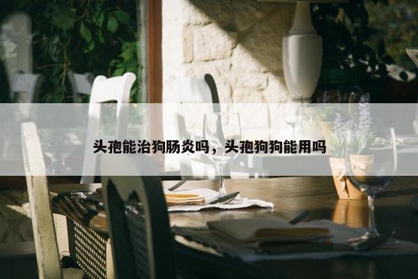 头孢能治狗肠炎吗，头孢狗狗能用吗
