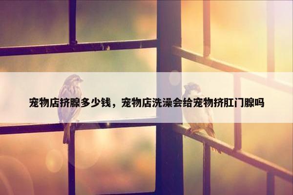 宠物店挤腺多少钱，宠物店洗澡会给宠物挤肛门腺吗