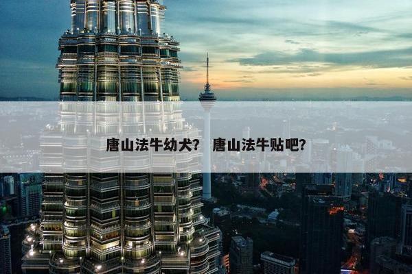 唐山法牛幼犬？ 唐山法牛贴吧？