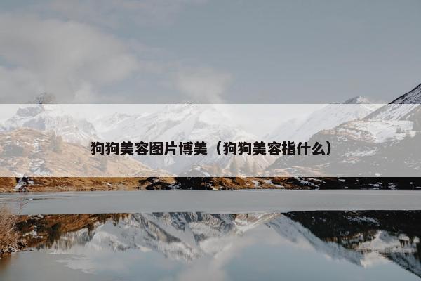 狗狗美容图片博美（狗狗美容指什么）