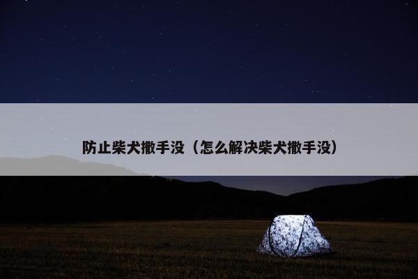 防止柴犬撒手没（怎么解决柴犬撒手没）