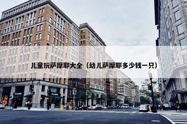 儿童玩萨摩耶大全（幼儿萨摩耶多少钱一只）