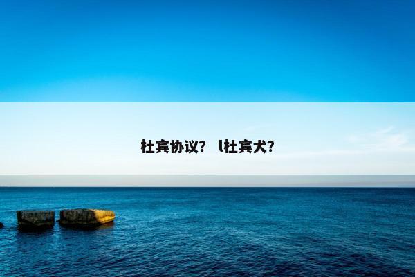 杜宾协议？ l杜宾犬？