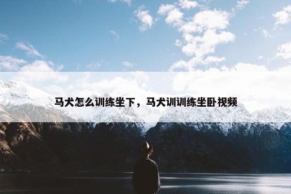 马犬怎么训练坐下，马犬训训练坐卧视频