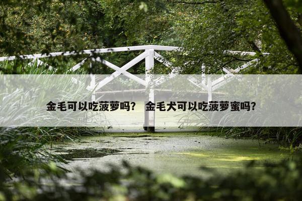 金毛可以吃菠萝吗？ 金毛犬可以吃菠萝蜜吗？