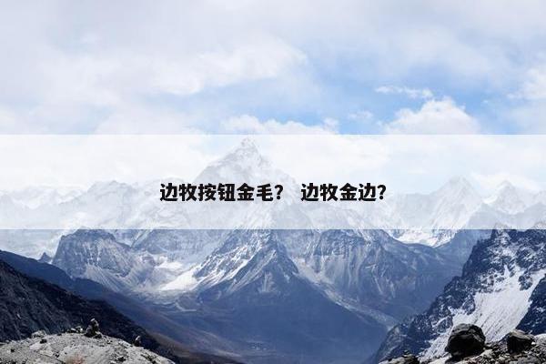 边牧按钮金毛？ 边牧金边？