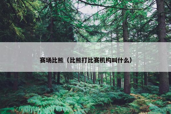 赛场比熊（比熊打比赛机构叫什么）