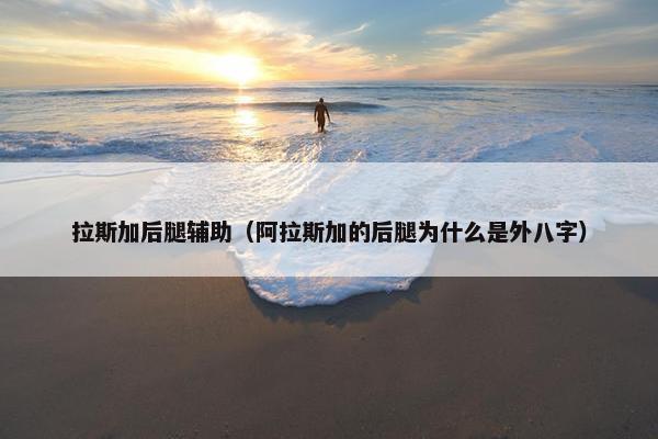 拉斯加后腿辅助（阿拉斯加的后腿为什么是外八字）