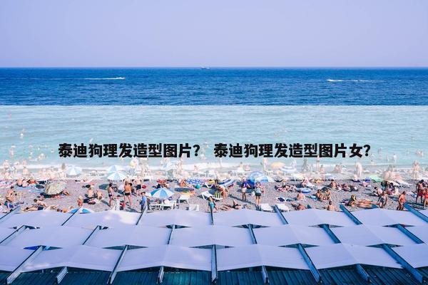泰迪狗理发造型图片？ 泰迪狗理发造型图片女？