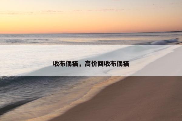 收布偶猫，高价回收布偶猫
